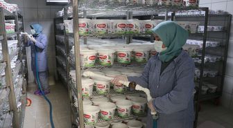 Tekirdağlı kadınlar her gün 7 ton sütü lezzete dönüştürüyor