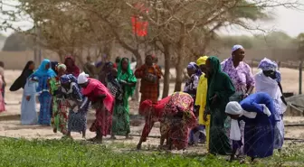 TİKA, Senegal'de 5 kadın kooperatifi için 3 hektarlık alanda sebze meyve bahçesi kurdu