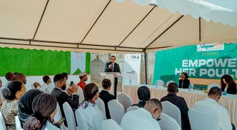 TİKA, Tanzanya'da kadınlara yönelik tavukçuluk ekosistemi kurdu