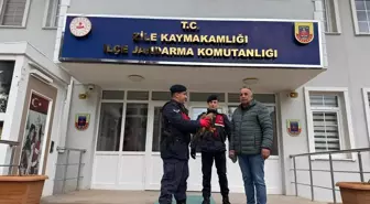 Tokat'ta yaralı halde bulunan kızıl şahin tedavi altına alındı
