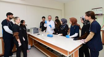 Van kedilerinde 'B' kan grubunun daha baskın olduğu belirlendi