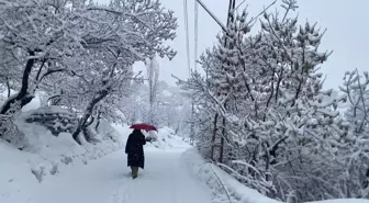 Van, Muş, Hakkari ve Bitlis'te 307 yerleşim yerine ulaşım sağlanamıyor