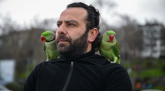 Yavruyken sahiplendiği papağanlarına gözü gibi bakıp yanından ayırmıyor