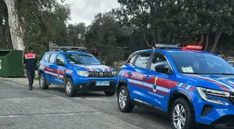 Muğla Bodrum'da 2 Köpek Tüfekle Vurularak Öldürüldü