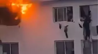 Senegal'deki Şeyh Anta Diop Üniversitesi'nde yangın