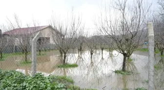 Kuşadası'nda sağanak etkili oldu; evlerin bahçeleri ve tarım arazileri su altında kaldı