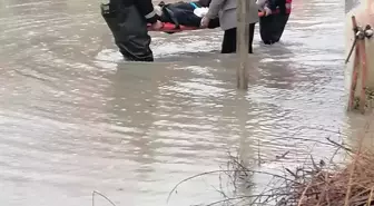 Osmaniye'de sağanak nedeniyle dereler taştı, tarım arazilerini su bastı