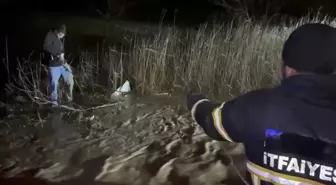 Adıyaman'da sele yakalanan araç suya gömüldü