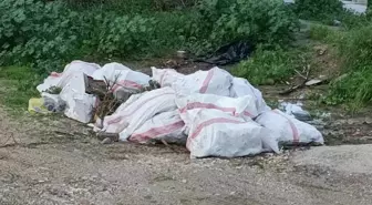 Muğla'da Çevre Kirliliğine Neden Olan Kişiye 50 Bin Lira Para Cezası