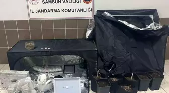 Çarşamba'da jandarmadan uyuşturucu operasyonu