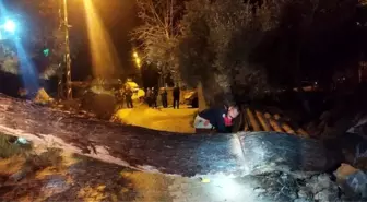 Defne'de devrilen ağaç yolu kapattı