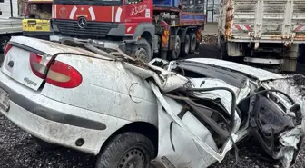Direğe ve ağaçlara çarpan otomobilin sürücüsü öldü