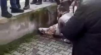 Dükkanının önünde uğradığı silahlı saldırıda yaralandı