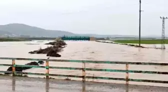 İslahiye'de sağanak sonrası ev ve tarlaları su bastı