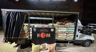 Kırşehir'de kaçak tütün operasyonu: 3 bin 100 kilogram kaçak tütün ele geçirildi