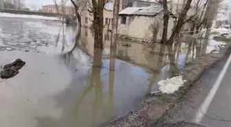 Muş'ta sağanak nedeniyle ev ve ahırları su bastı