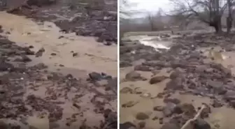 Sağanak yağış tarımı alt üst etti! Binlerce dönüm arazi sular altında