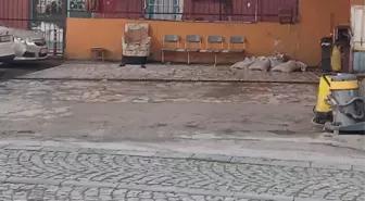 Silahlı saldırıya uğrayan oto yıkama dükkanının sahibi, ağır yaralandı