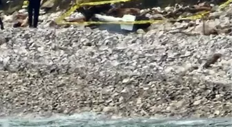 Türkeli'de kıyıya vuran şüpheli cisim korkuttu