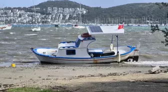 Bodrum'da fırtına etkili oldu ağaçlar devrildi, tekne karaya oturdu