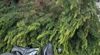 Çanakkale'de fırtınada ağaçlar devrildi, balkon duvarı yıkıldı