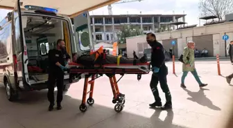 Ceviz ağacından düşen yaşlı adam ağır yaralandı