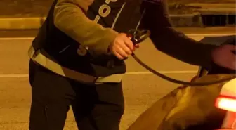 Isparta'da denetimlerde 32 bin 878 şahıs sorgulandı