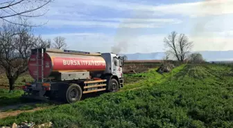 İznik'te rüzgarla birlikte sazlık yangını büyüyor