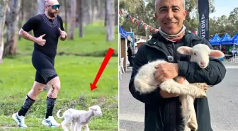 Parkura atlayan kuzu yarışmaya renk kattı: İnsanın vegan olası geliyor