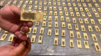 Ticaret Bakanlığı, 2025 yılında da kaçak canlı hayvan ticaretine geçit vermedi