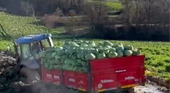 Çiftçinin zor anları