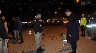 Şırnak'ta 700 polisin katılımı ile 'Narko Alan' uygulaması