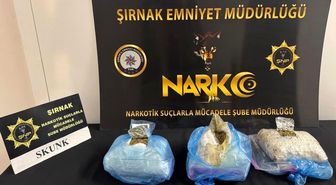 Şırnak'ta asayiş, narkotik ve kaçakçılık operasyonlarında 4 tutuklama