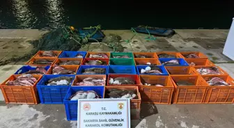 Ülkeye kaçak getirilen 300 kalkan balığı ele geçirildi