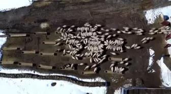 Bayburt'ta 50 milyon liralık yem desteği 2 bin 601 işletmeye ulaştı