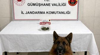 Gümüşhane'de uyuşturucu operasyonu