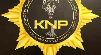 Kahramanmaraş'ta narkotik operasyonu: 2 tutuklama