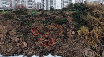 Akılalmaz ama gerçek! Falezleri dahi işgal ettiler