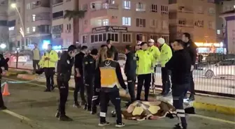 Şanlıurfa'da otomobilin çarptığı kadın öldü