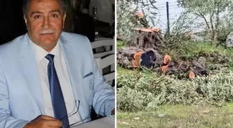 Zeytin ağaçlarını kesen ve görevinden istifa eden Kılbey'e para cezası