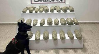 Başkale'de 21 kilo 350 gram skunk ele geçirildi