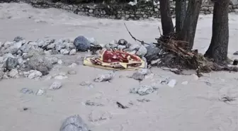 Denizli'de sele kapılan şahıs ölü bulundu