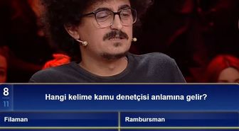 Hangi kelime kamu denetçisi anlamına gelir?