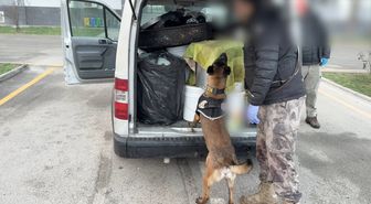 Kızartma yağlarının içine zulalanmış 45 kilo uyuşturucuyu 'Hector' buldu