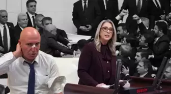 Meclis'teki kavga sonrası CHP'li Tanal'a sert sözler: Mahmut Bey acınızı unuttunuz herhalde!