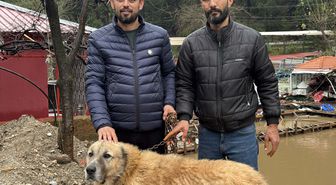 Paşa'yı canı pahasına korudu, akıntıya kapılmaktan son anda kurtardı