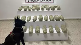 Van kırsalında 21 kilo 350 gram skunk ele geçirildi