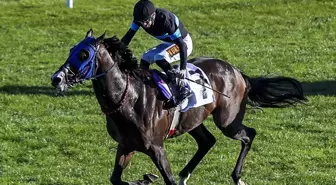 '100 milyonluk yarış atları kayıp' iddiasına açıklama geldi