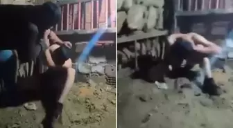 Ahırdaki işkence görüntülerinin ardından jandarma harekete geçti