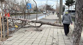 Edirne ve Kırklareli için 'fırtına' uyarısı